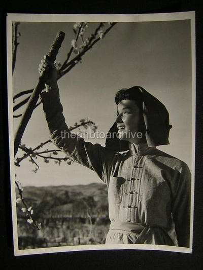 龙种剧照的剧照