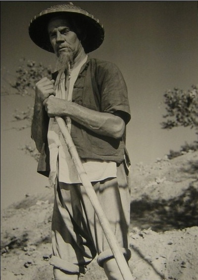 龙种剧照的剧照