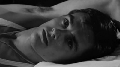 洛可兄弟剧照的剧照