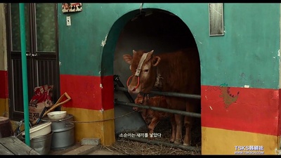 竞走女王剧照的剧照