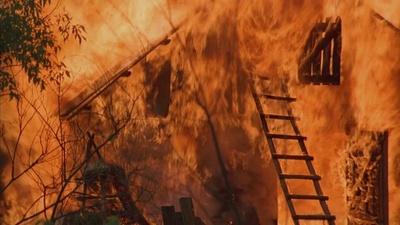 星星剧照的剧照