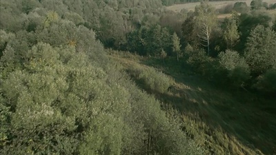 星星剧照的剧照