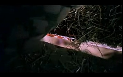 星星剧照的剧照