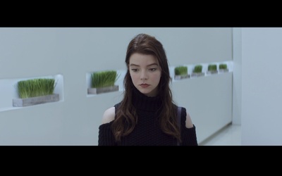 良种动物剧照的剧照