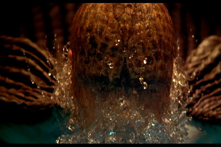 入侵脑细胞剧照的剧照