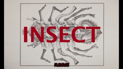 昆虫物语剧照的剧照