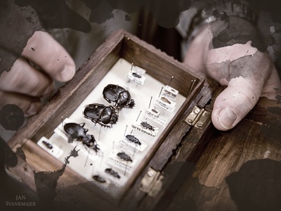 昆虫物语剧照的剧照