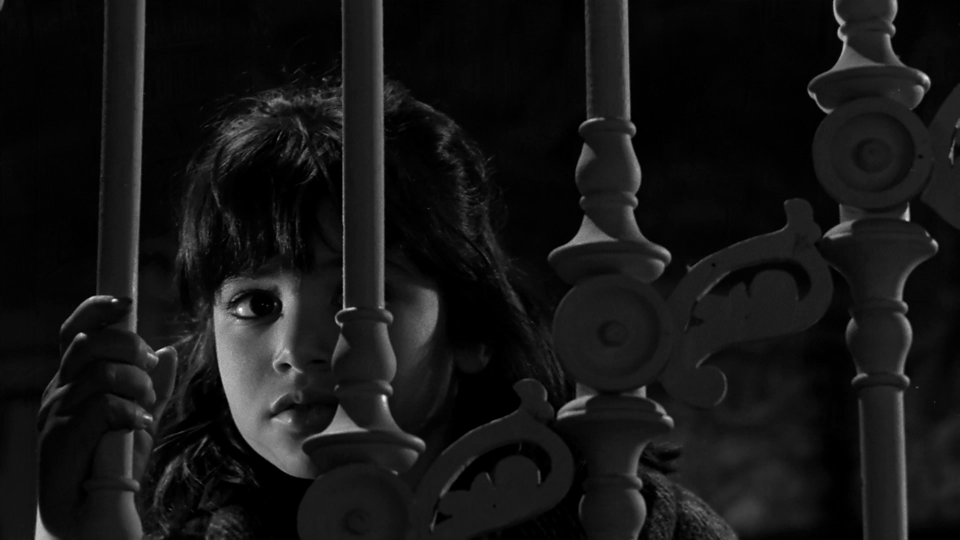 维莉蒂安娜剧照的剧照