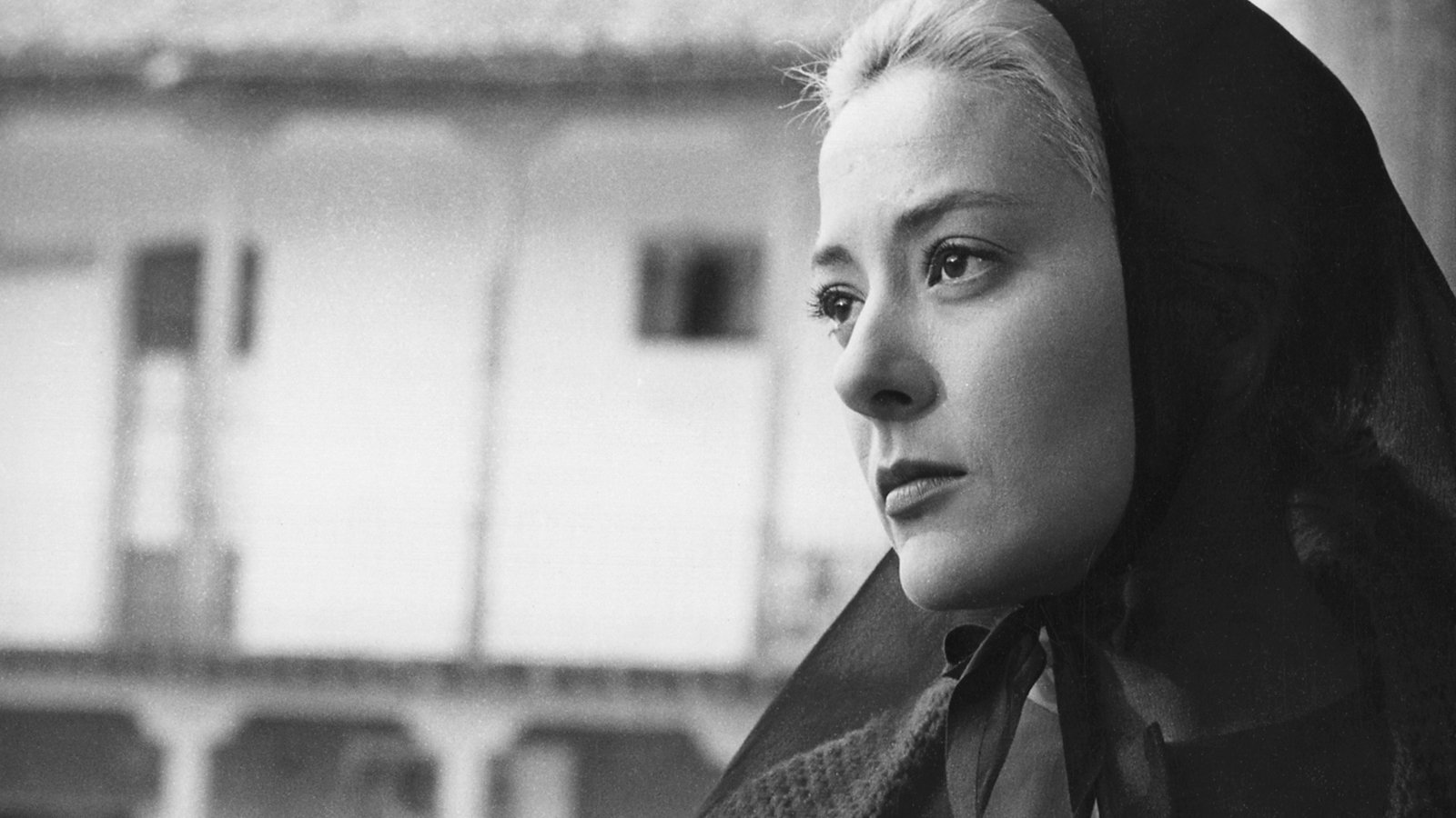 维莉蒂安娜剧照的剧照