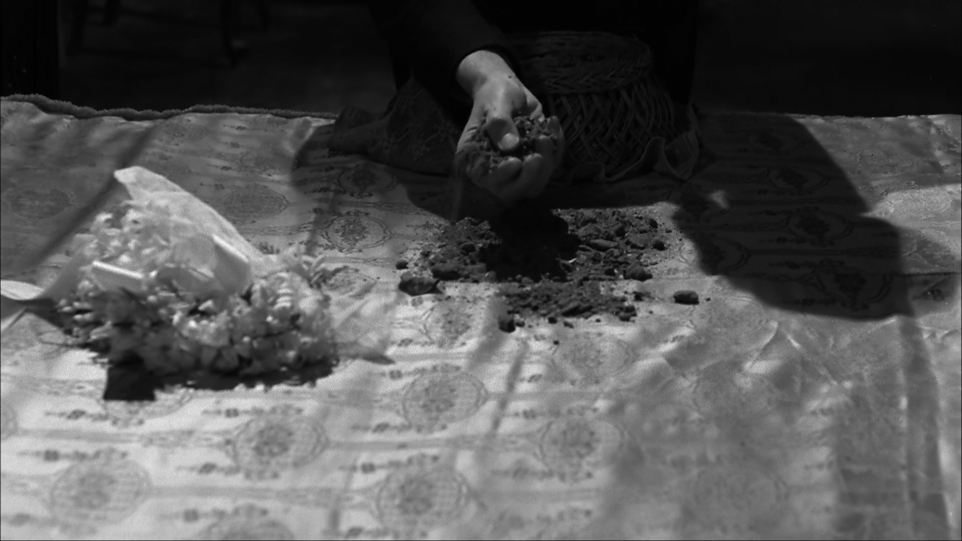 维莉蒂安娜剧照的剧照