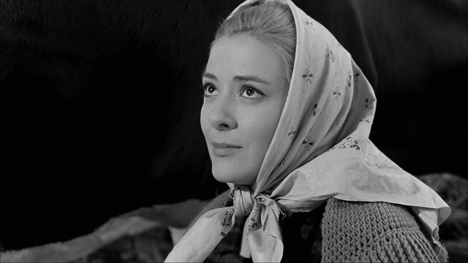 维莉蒂安娜剧照的剧照