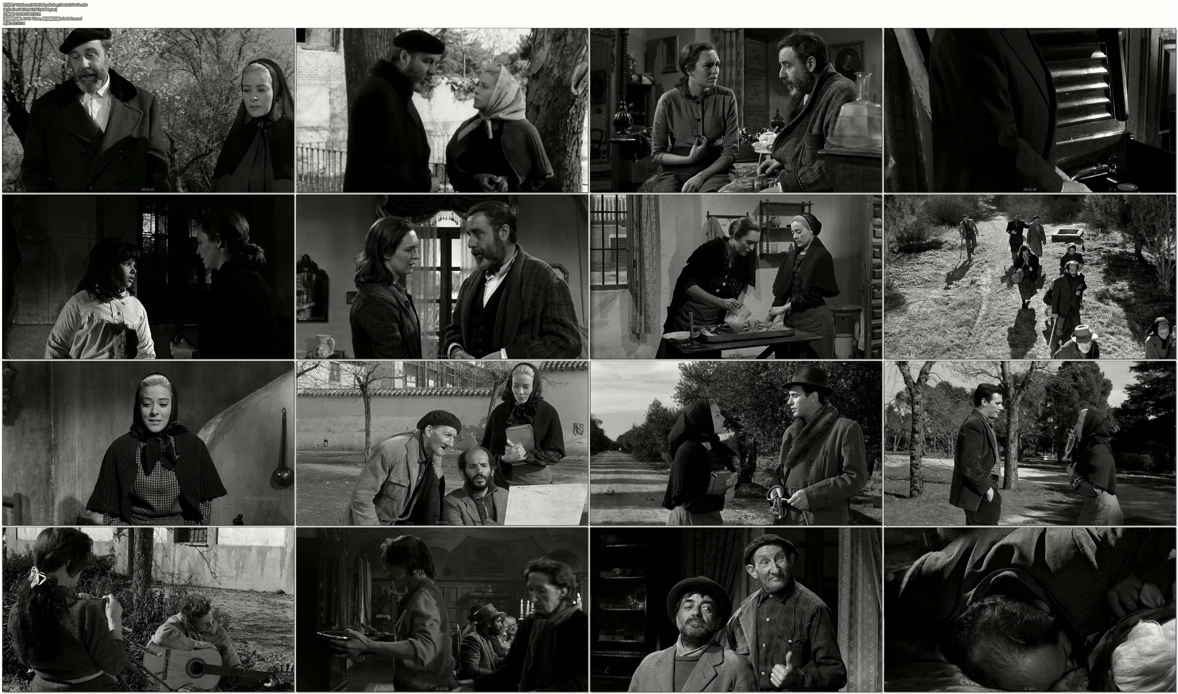 维莉蒂安娜剧照的剧照