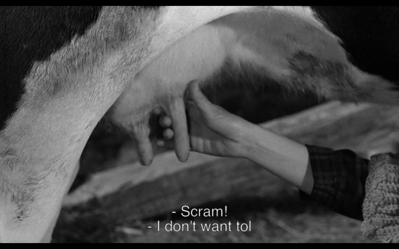 维莉蒂安娜剧照的剧照