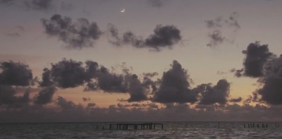 拥抱大海剧照的剧照