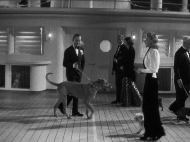 随我婆娑剧照的剧照