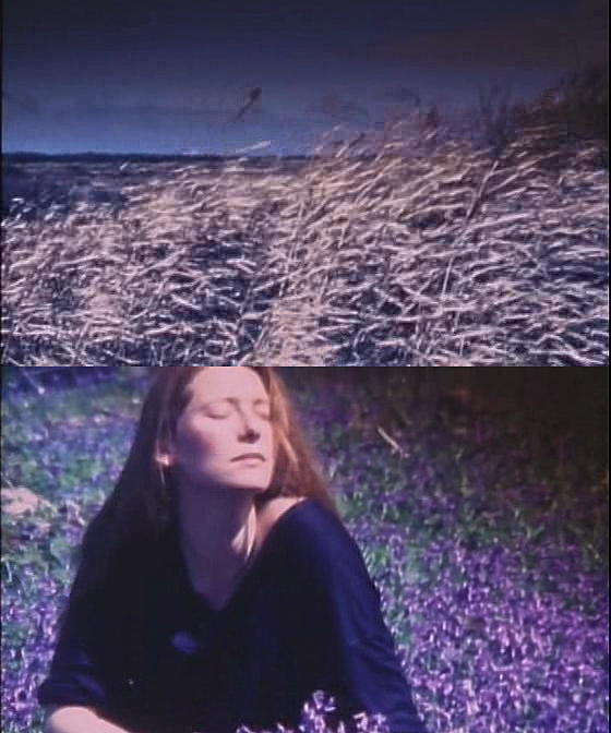 花园剧照的剧照