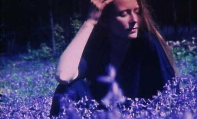 花园剧照的剧照