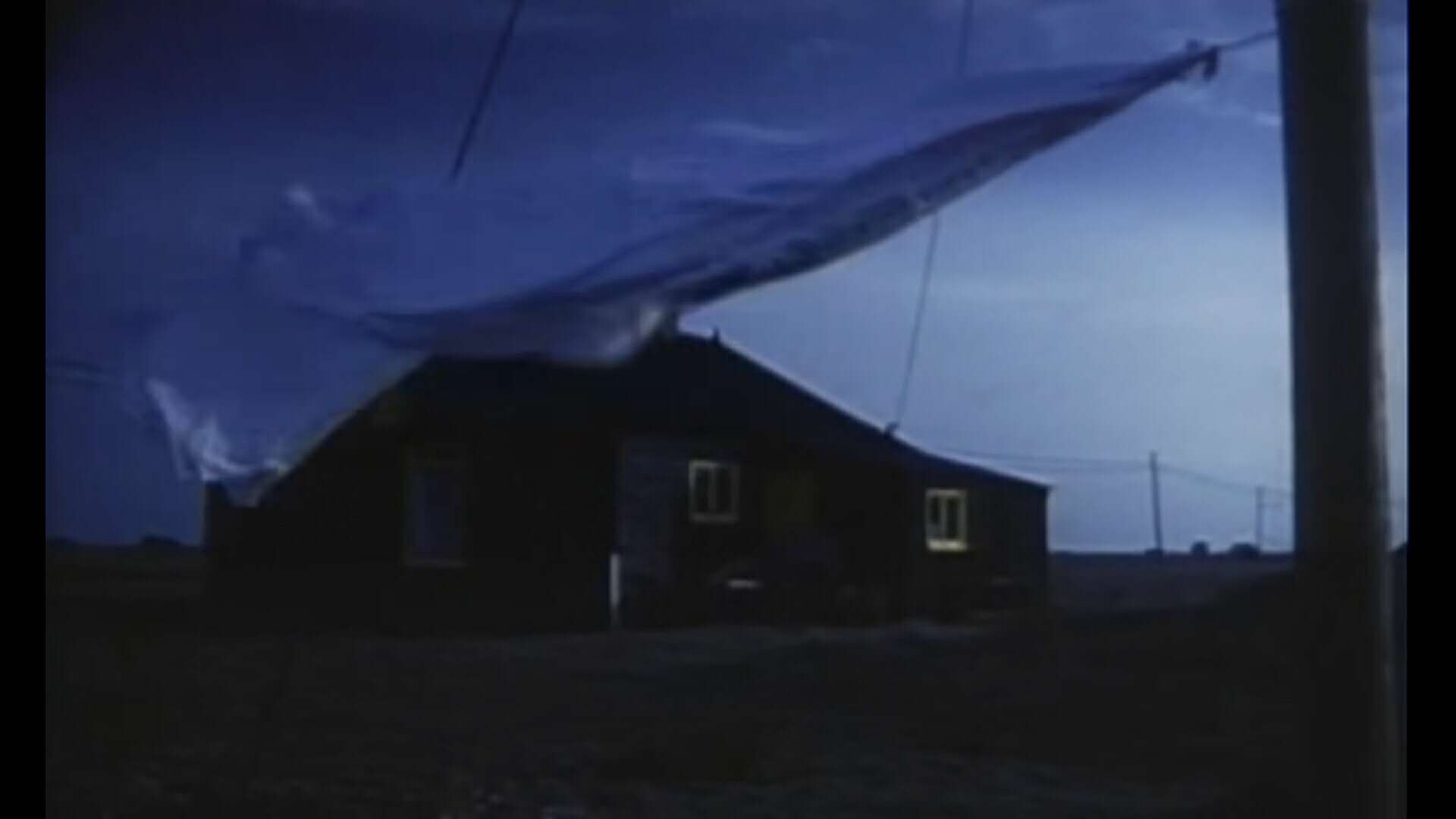 花园剧照的剧照