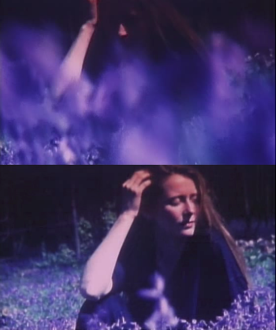 花园剧照的剧照