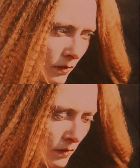 花园剧照的剧照