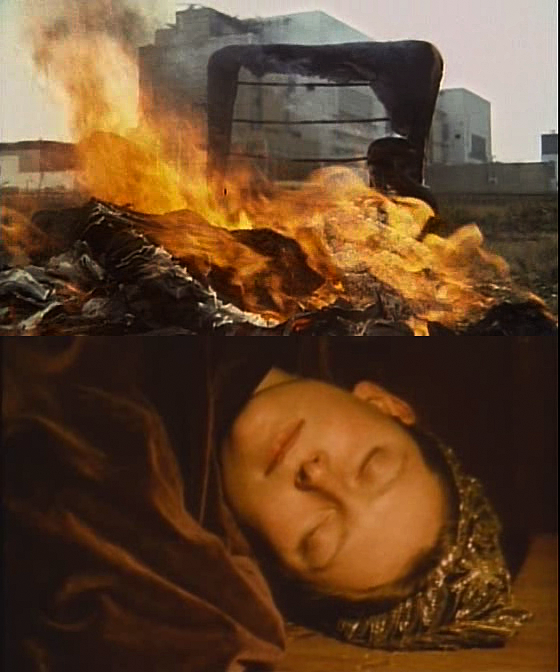 花园剧照的剧照