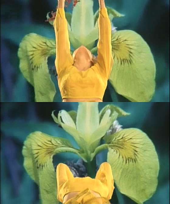 花园剧照的剧照