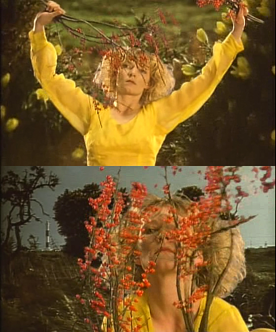 花园剧照的剧照