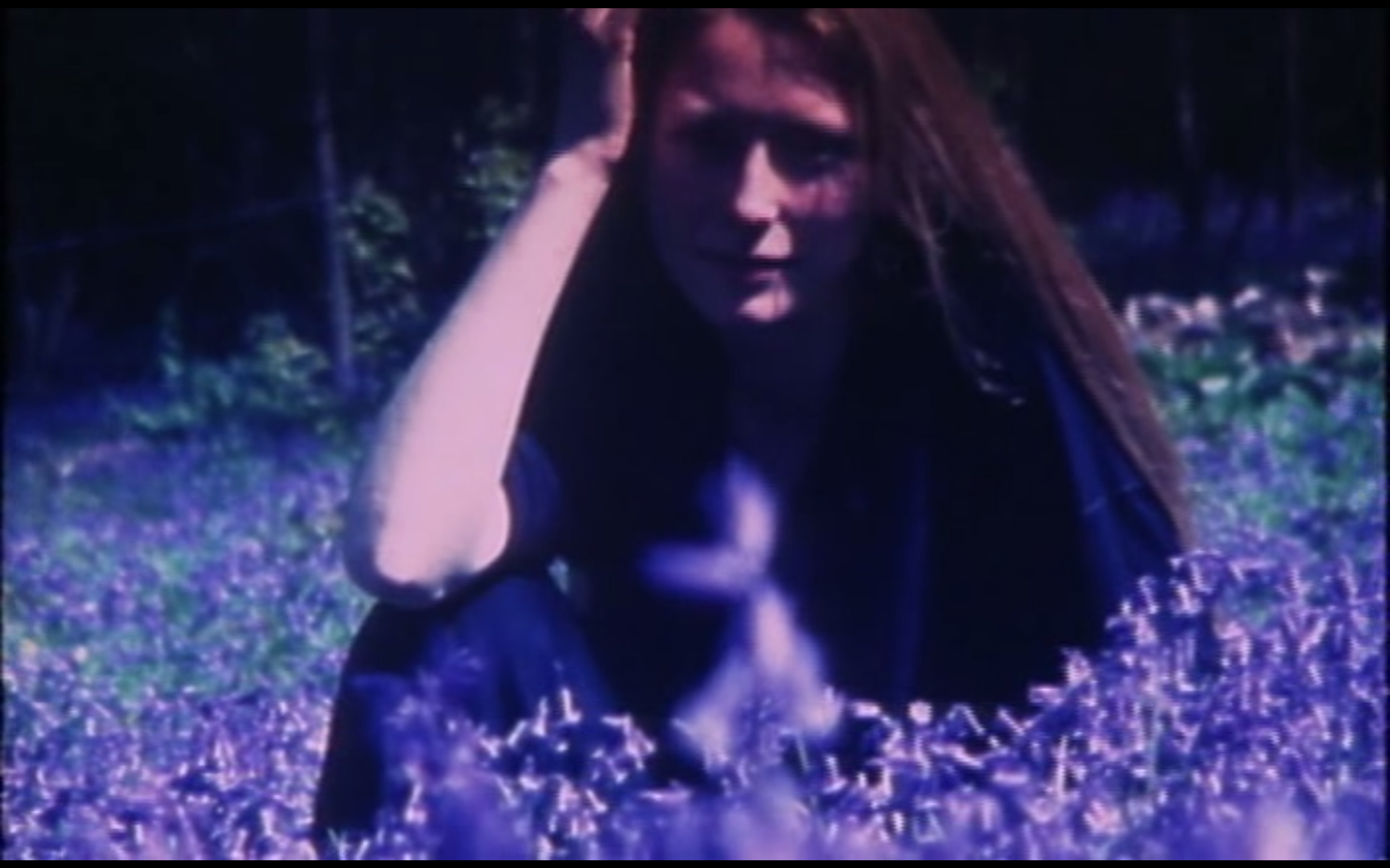 花园剧照的剧照