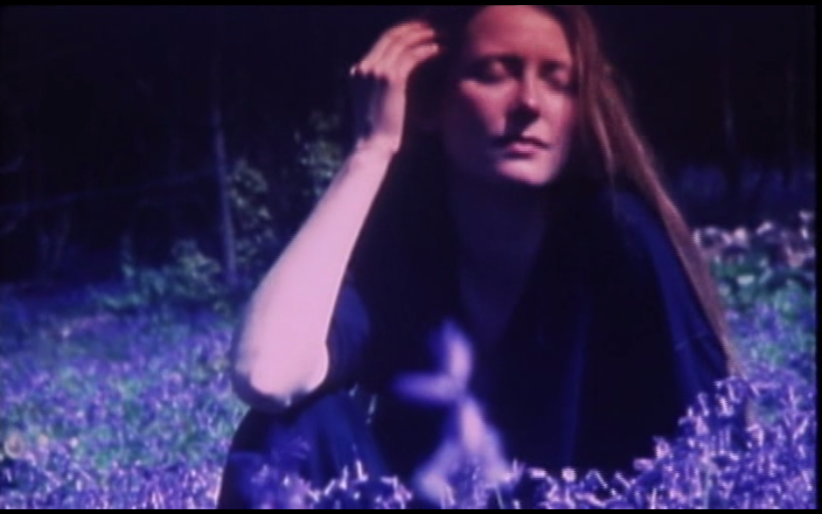 花园剧照的剧照