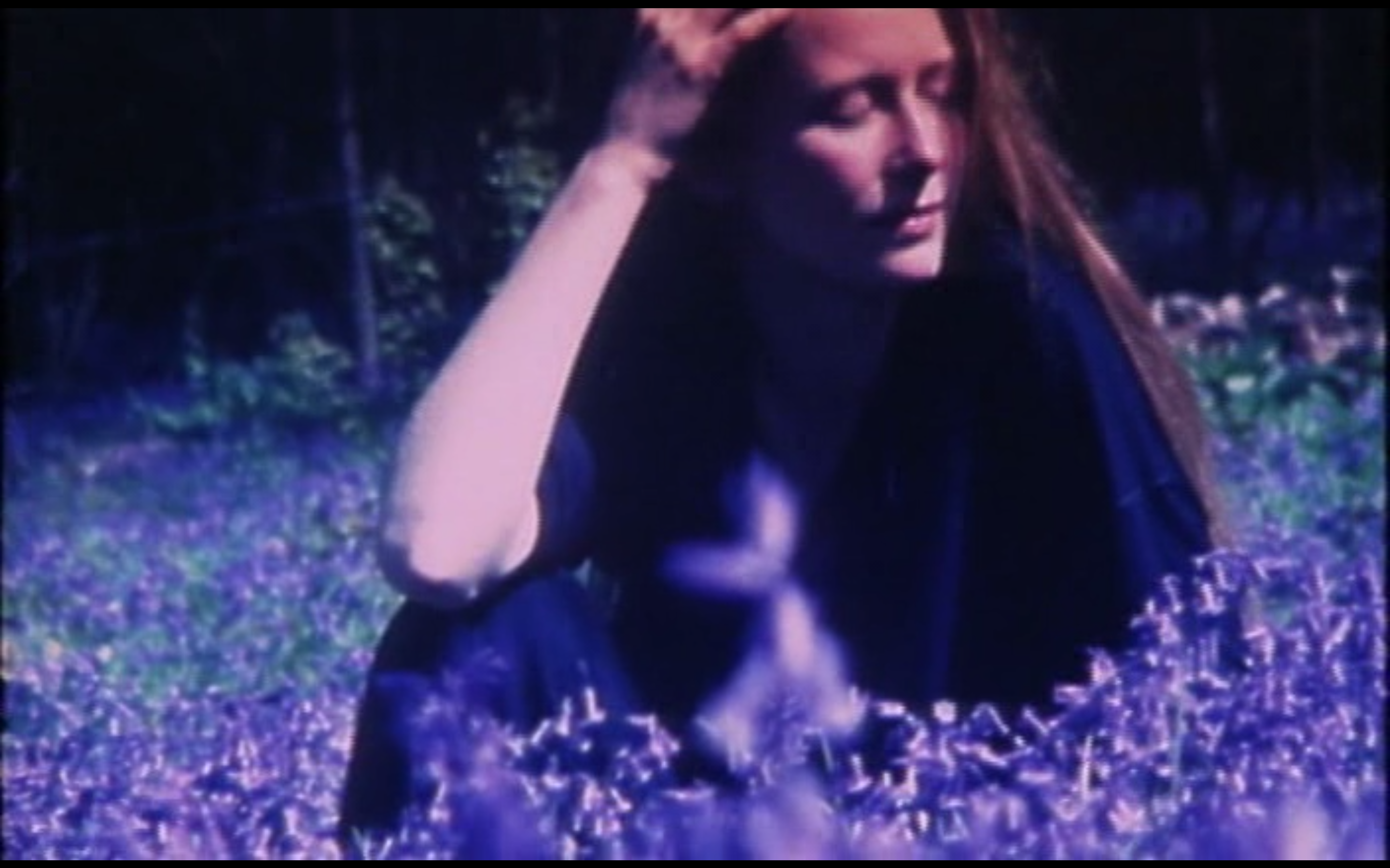 花园剧照的剧照