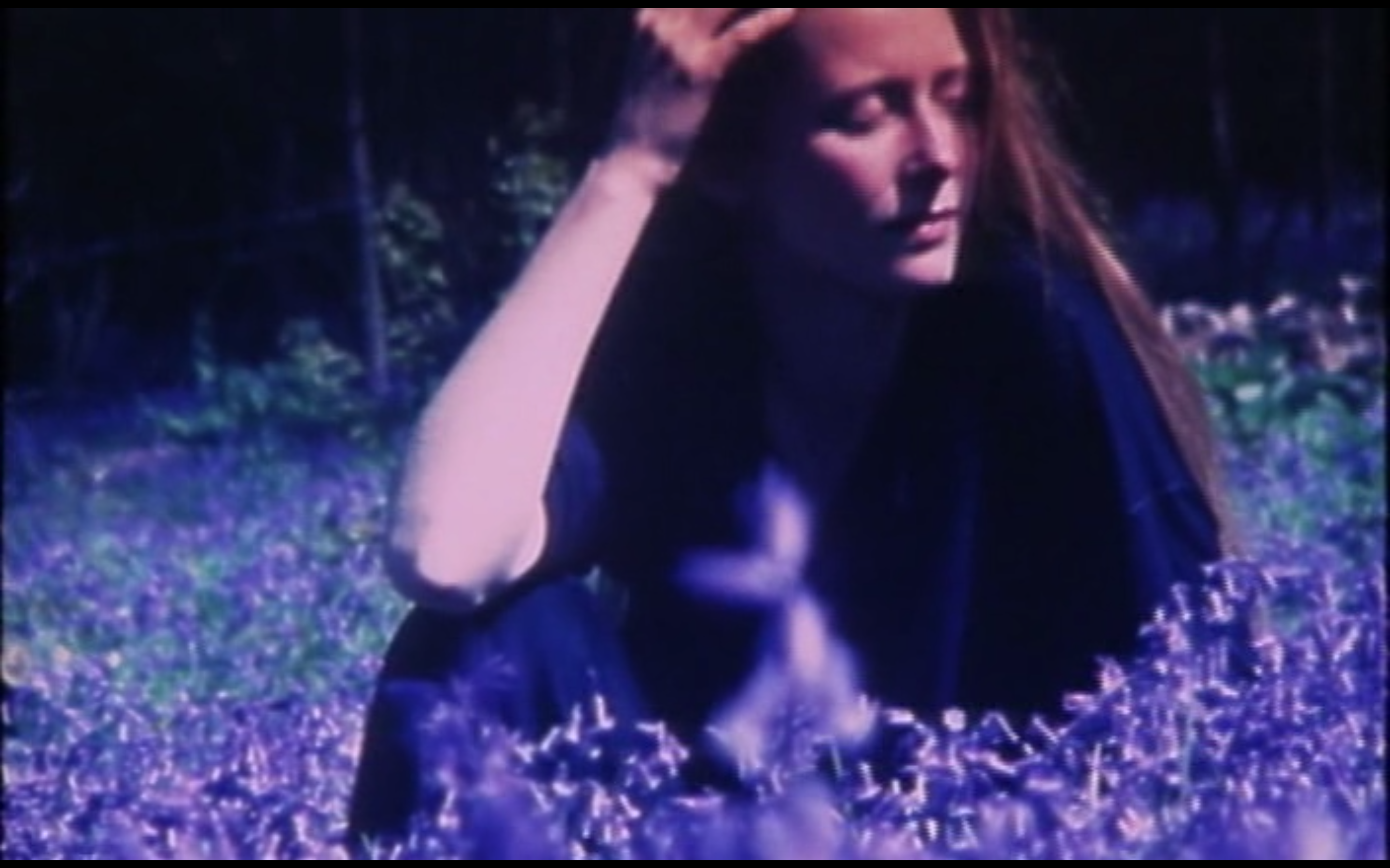 花园剧照的剧照