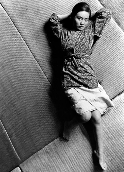 日本昆虫记剧照的剧照