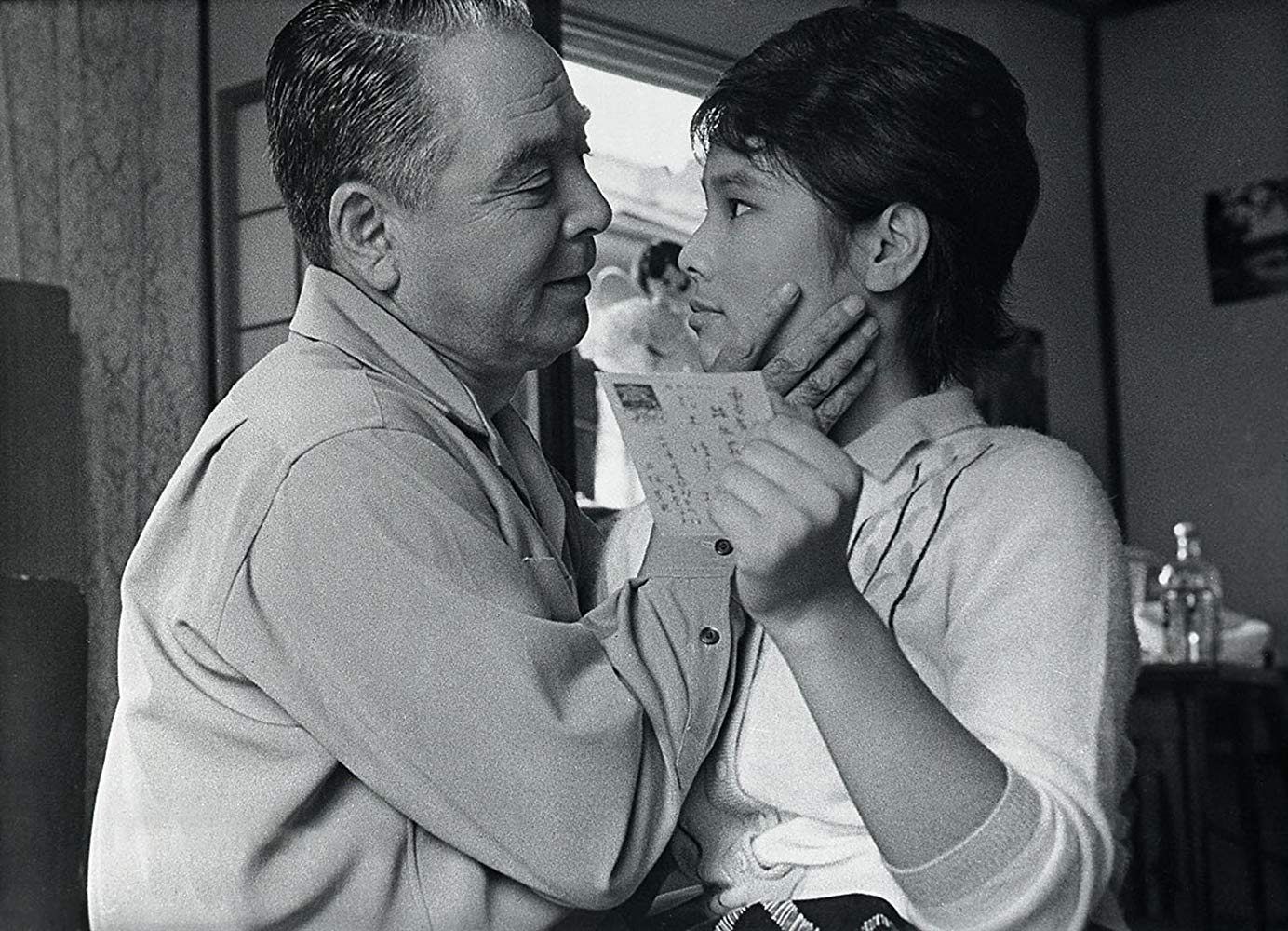 日本昆虫记剧照的剧照