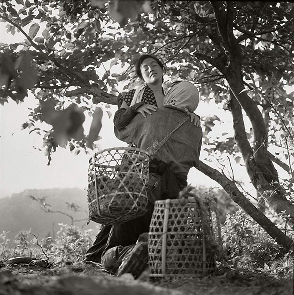 日本昆虫记剧照的剧照