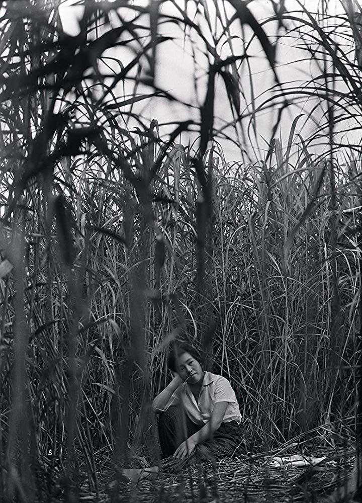 日本昆虫记剧照的剧照