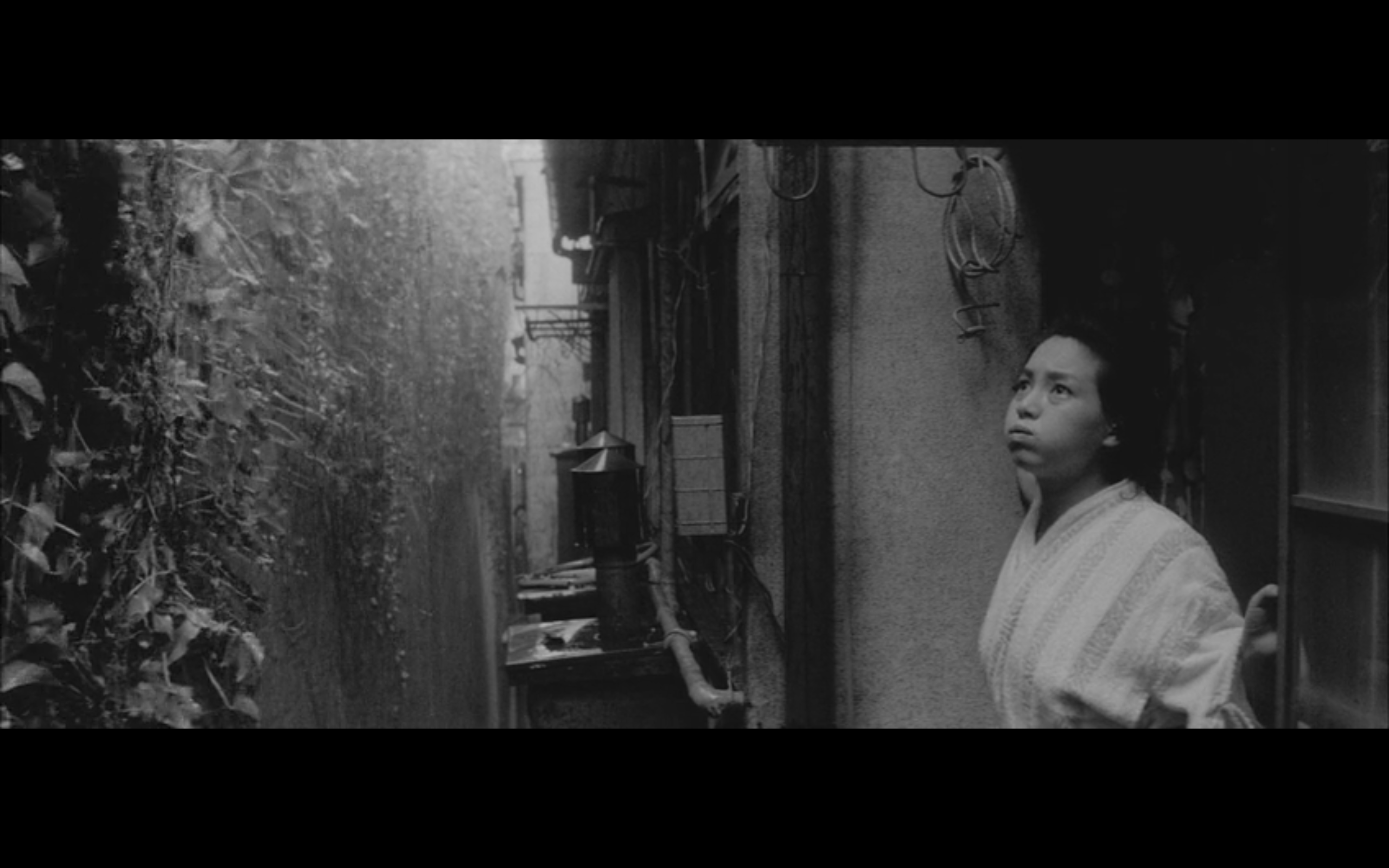 日本昆虫记剧照的剧照