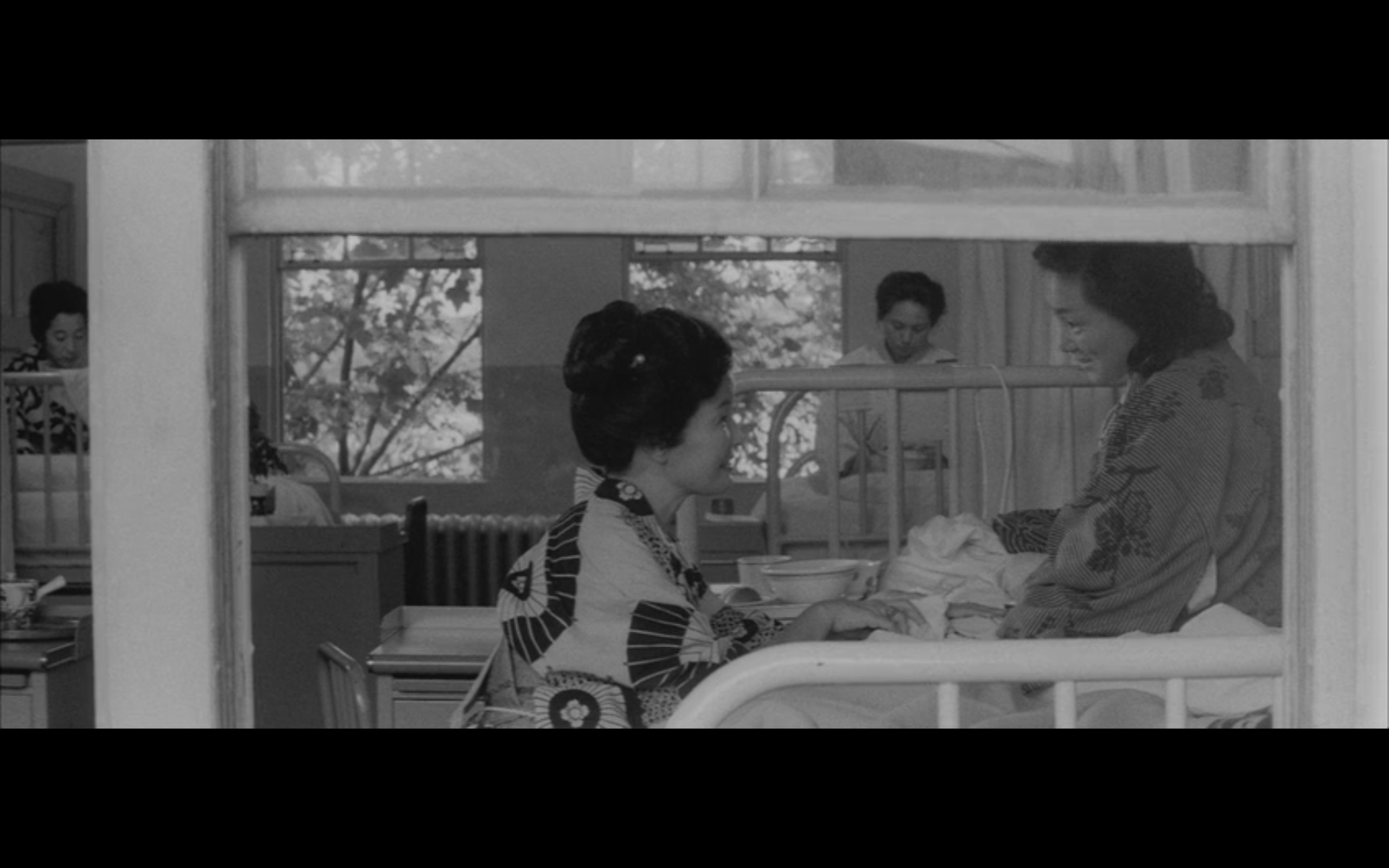 日本昆虫记剧照的剧照