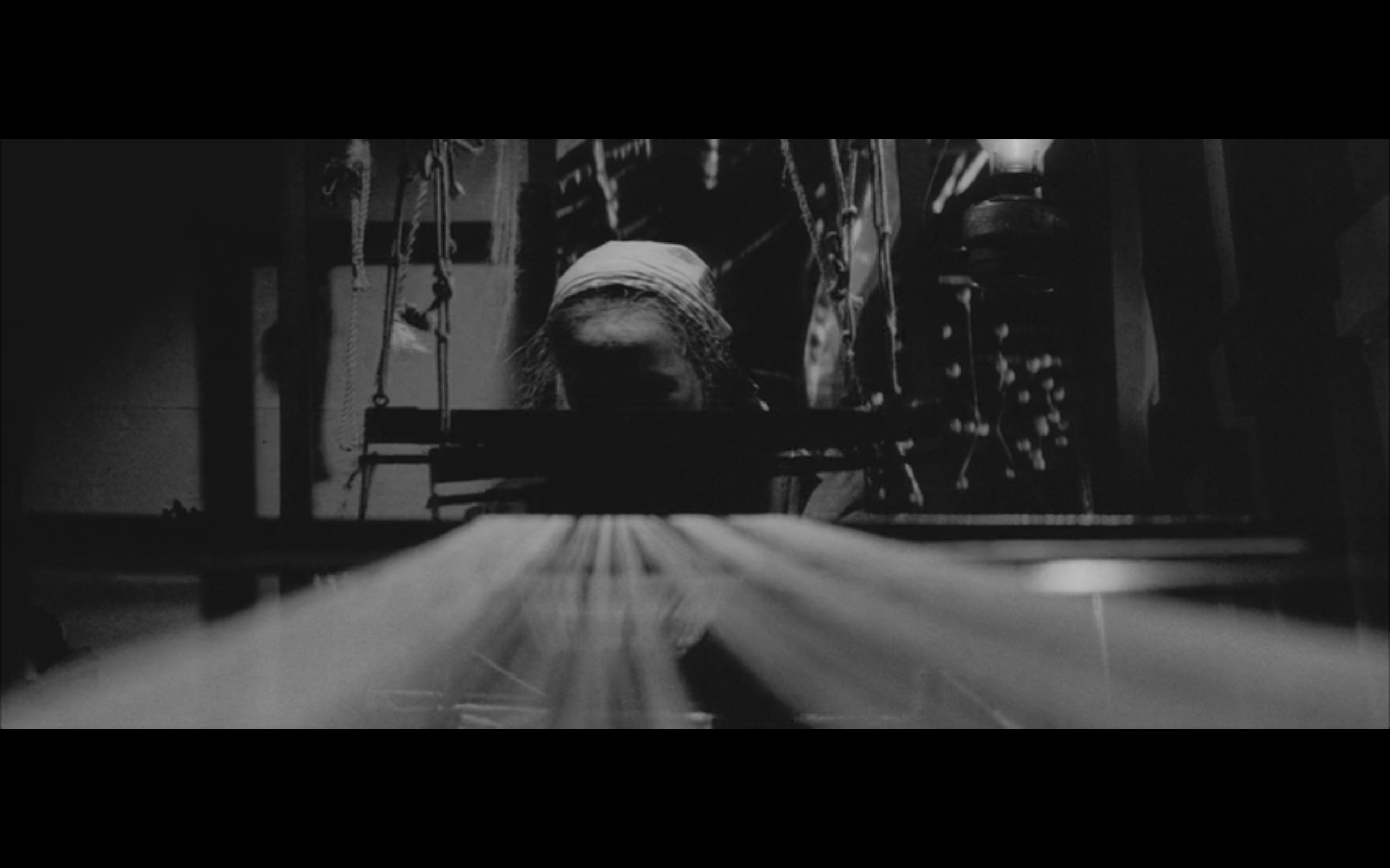 日本昆虫记剧照的剧照