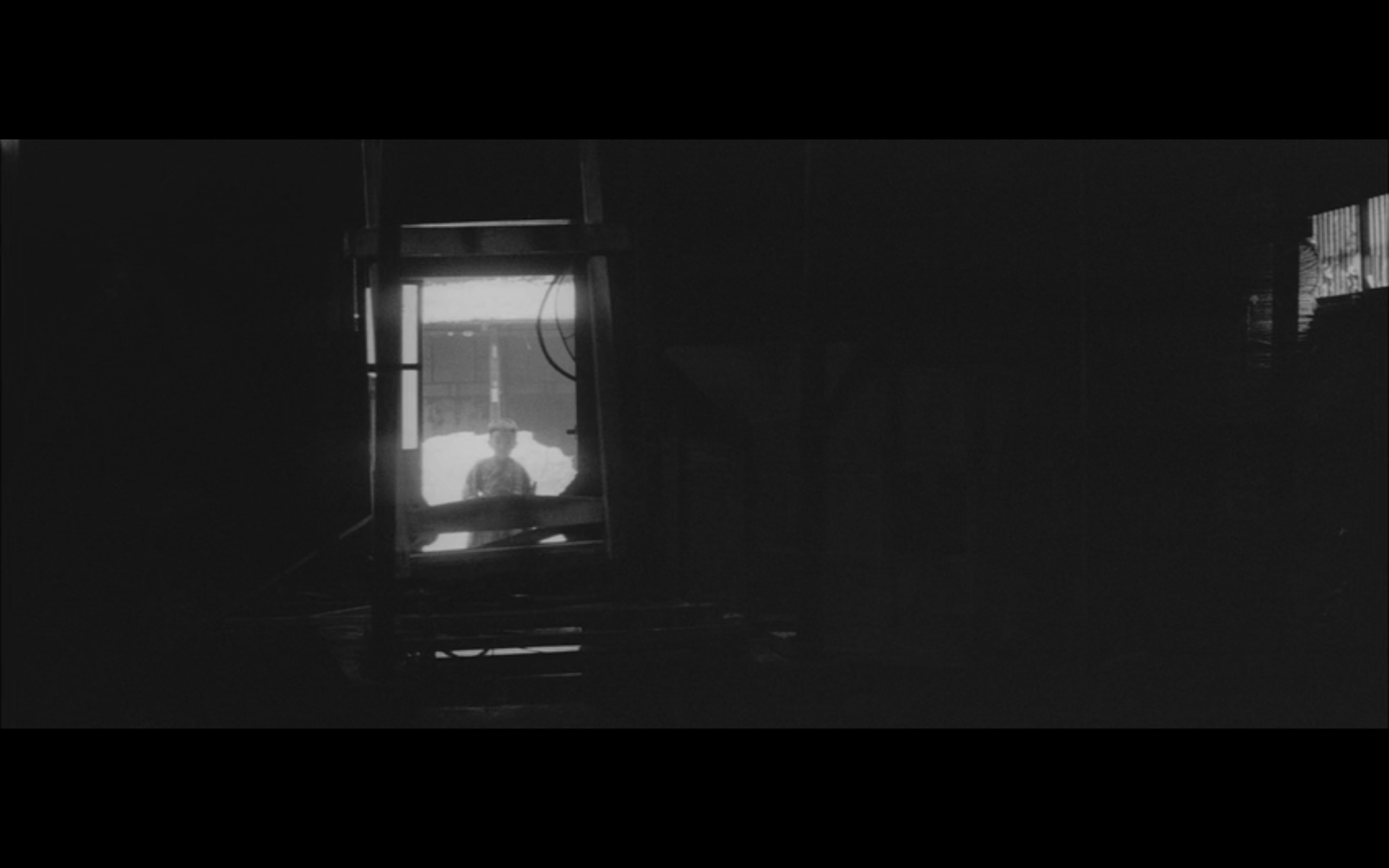 日本昆虫记剧照的剧照