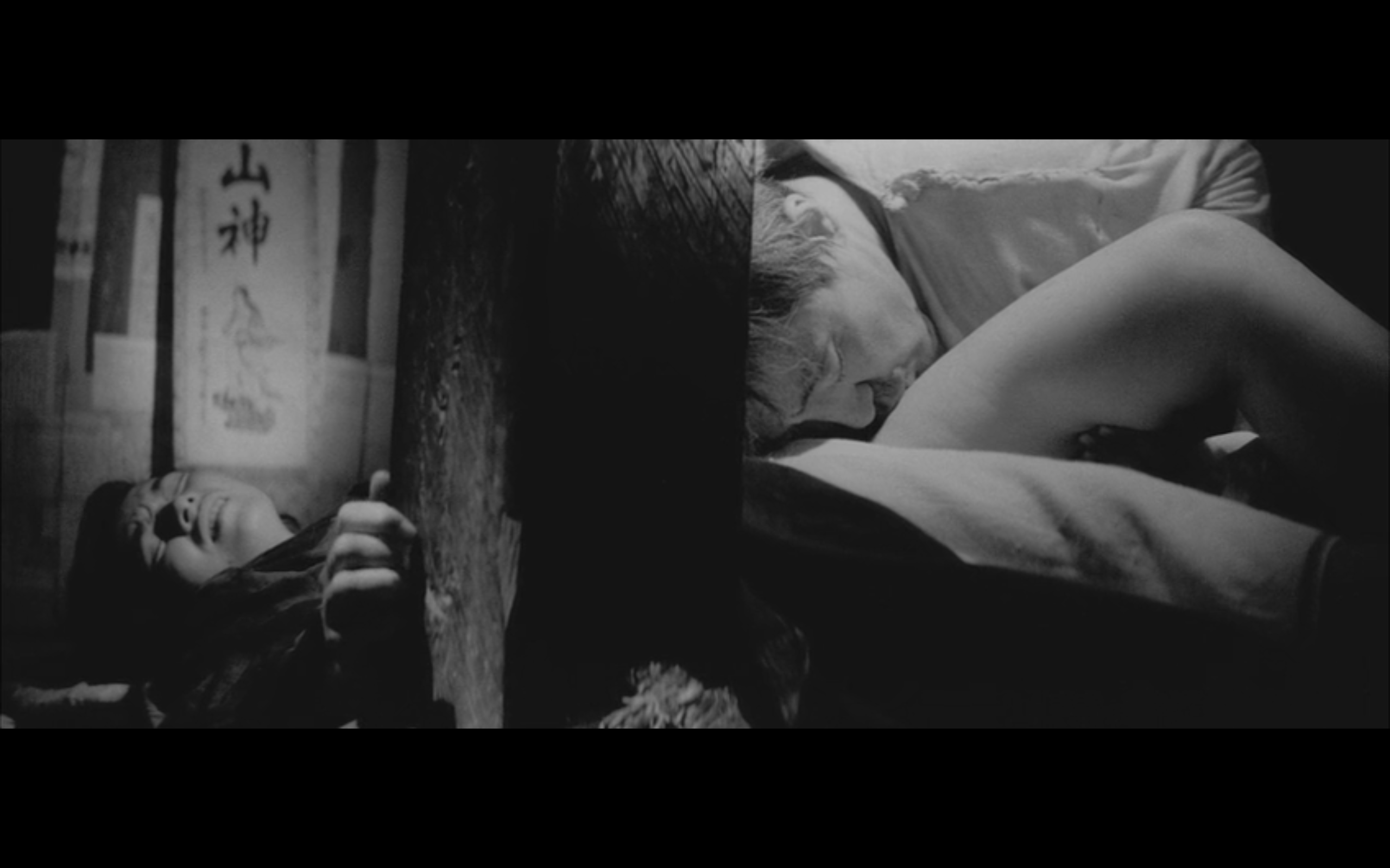 日本昆虫记剧照的剧照