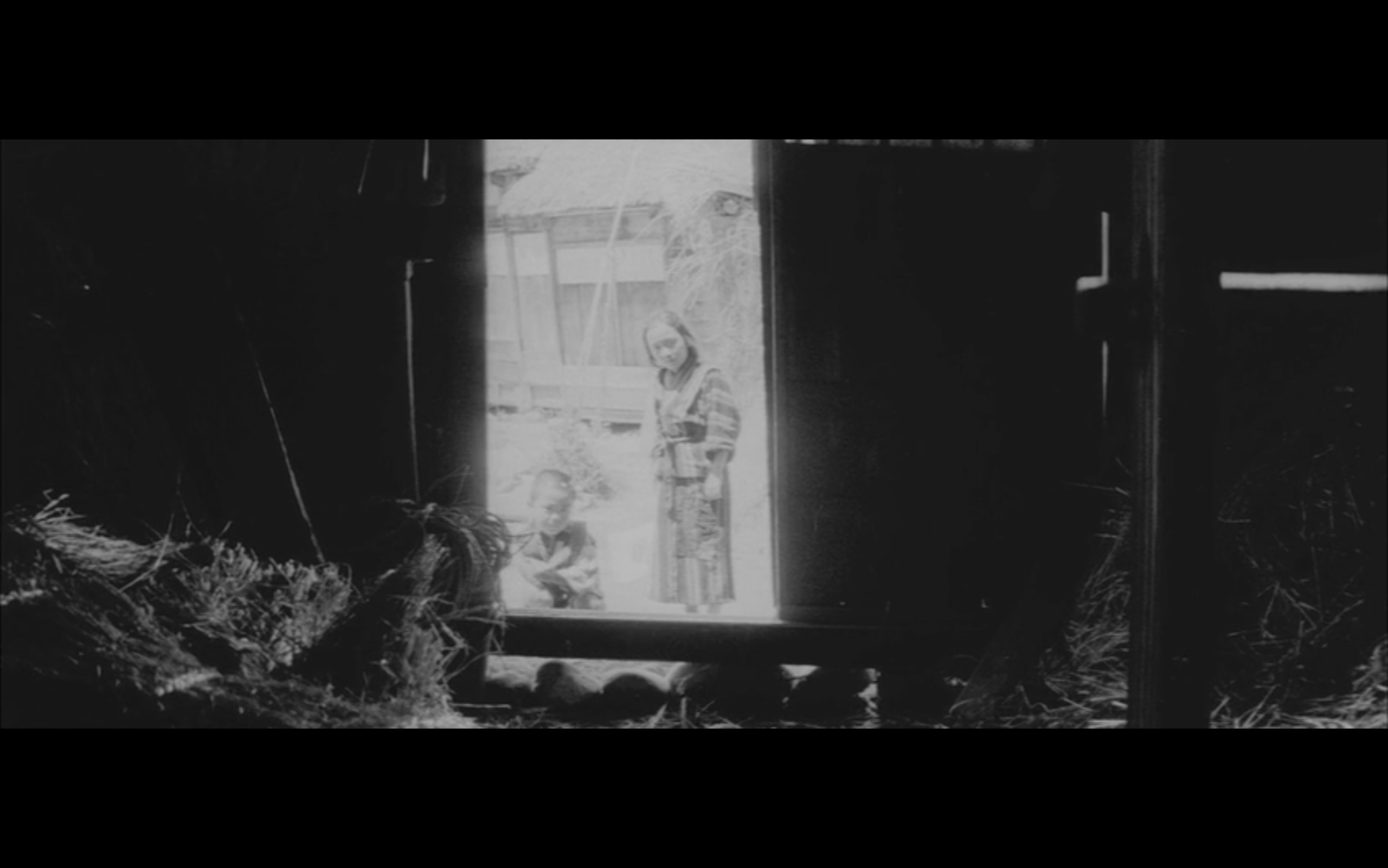 日本昆虫记剧照的剧照