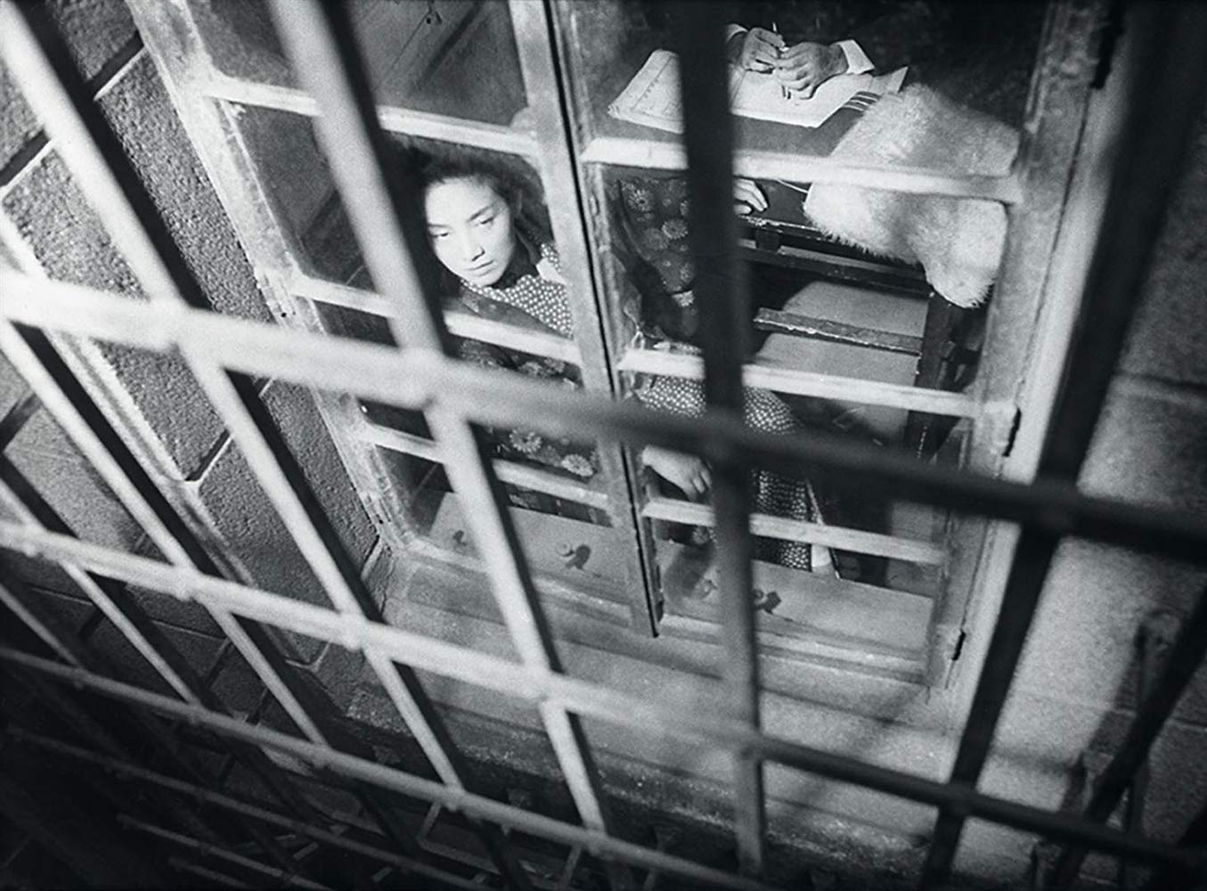 日本昆虫记剧照的剧照