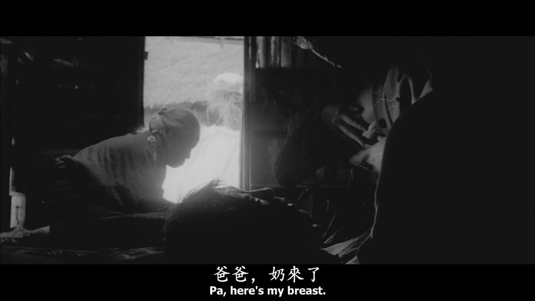 日本昆虫记剧照的剧照