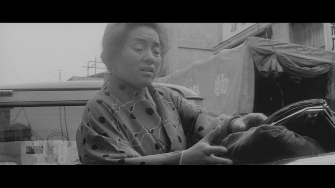 日本昆虫记剧照的剧照