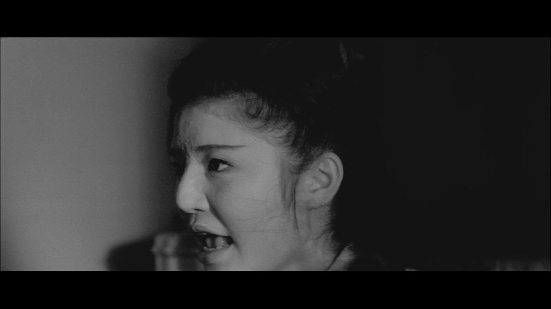 日本昆虫记剧照的剧照