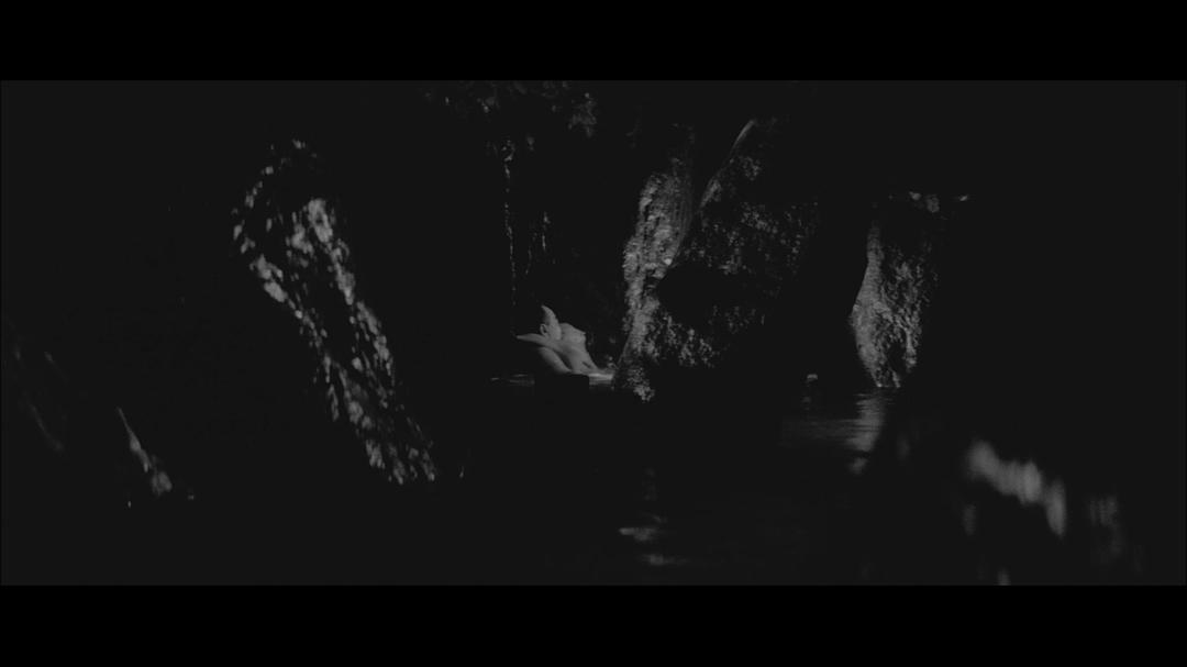 日本昆虫记剧照的剧照