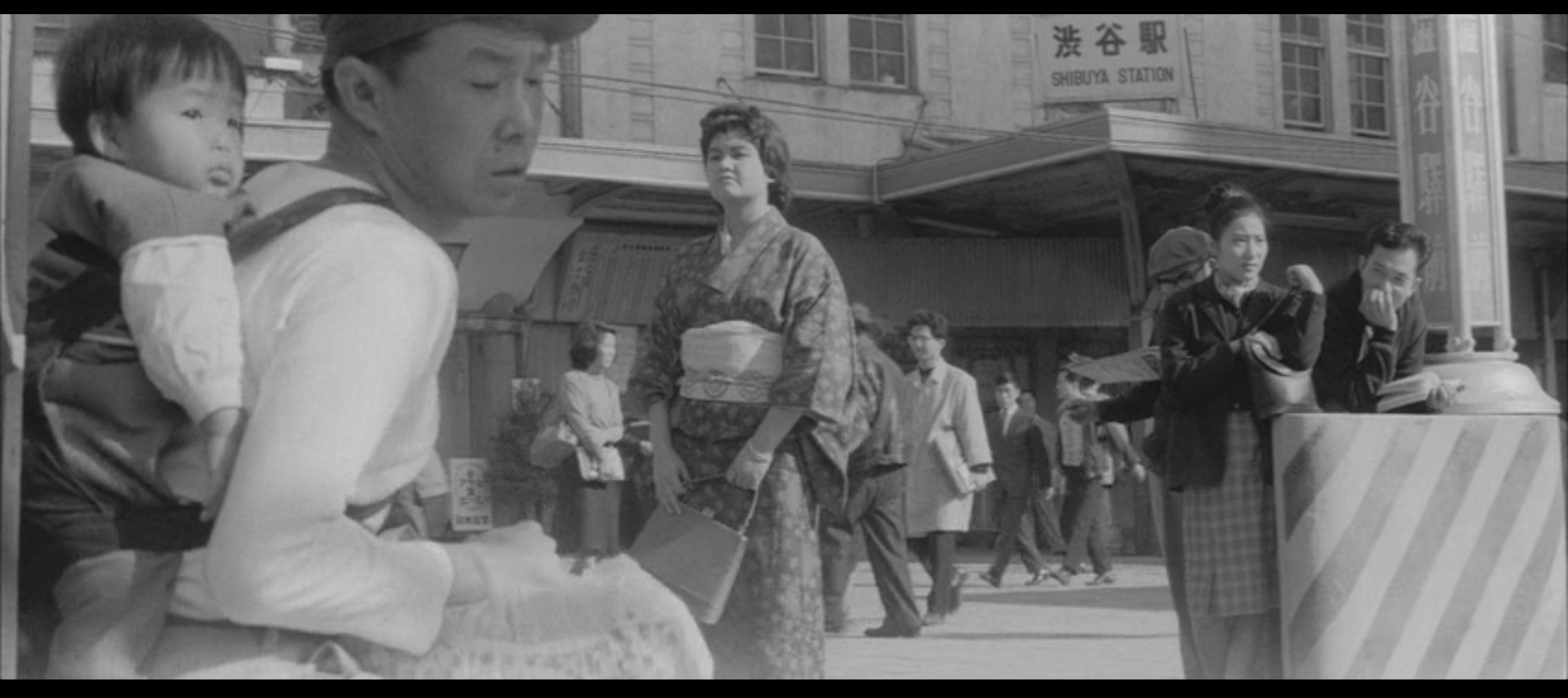 日本昆虫记剧照的剧照