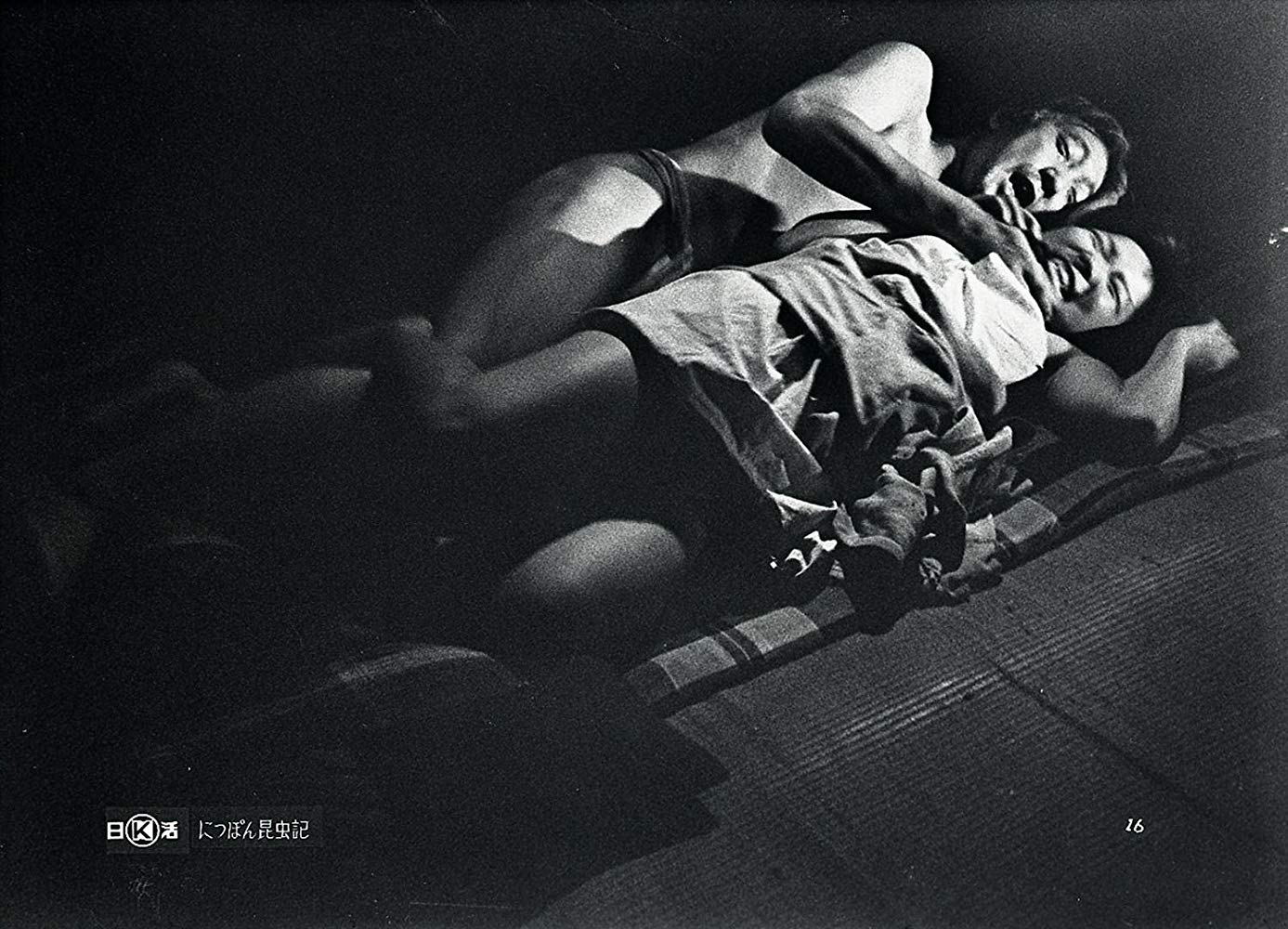 日本昆虫记剧照的剧照