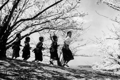 二十四只眼睛剧照的剧照