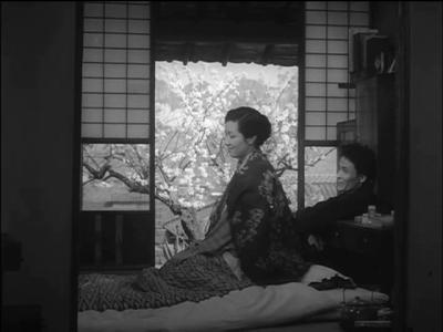 二十四只眼睛剧照的剧照